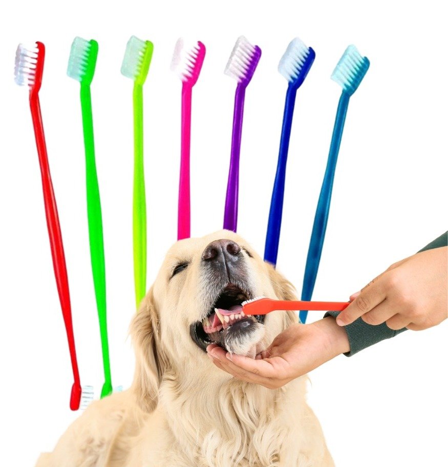 Escova de Dente Para Cães e Gatos - Imagem 3